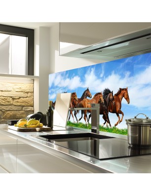 Glas Küchenrückwand 6 mm ESG Motive KRWM-0900