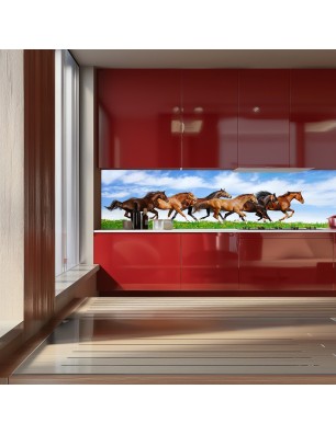 Glas Küchenrückwand 6 mm ESG Motive KRWM-0900