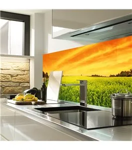 Glas Küchenrückwand 6 mm ESG Motive KRWM-0905