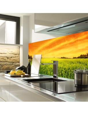 Glas Küchenrückwand 6 mm ESG Motive KRWM-0905