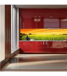 Glas Küchenrückwand 6 mm ESG Motive KRWM-0905