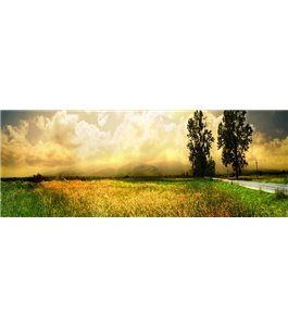 Glas Küchenrückwand 6 mm ESG Motive KRWM-0909