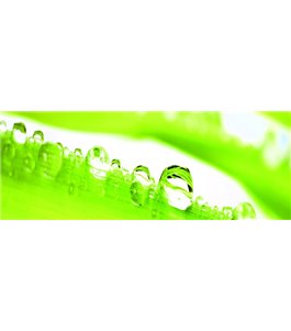 Glas Küchenrückwand 6 mm ESG Motive KRWM-0926