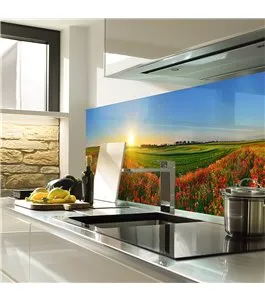 Glas Küchenrückwand 6 mm ESG Motive KRWM-0933