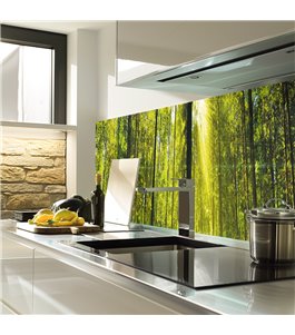 Glas Küchenrückwand 6 mm ESG Motive KRWM-0944