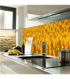 Glas Küchenrückwand 6 mm ESG Motive KRWM-0945