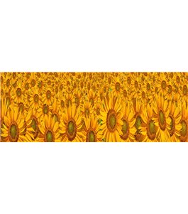 Glas Küchenrückwand 6 mm ESG Motive KRWM-0945