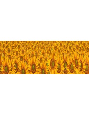Glas Küchenrückwand 6 mm ESG Motive KRWM-0945
