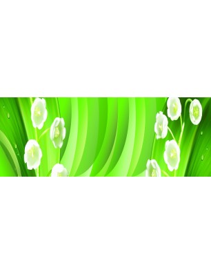 Glas Küchenrückwand 6 mm ESG Motive KRWM-0949