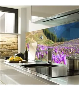 Glas Küchenrückwand 6 mm ESG Motive KRWM-0951