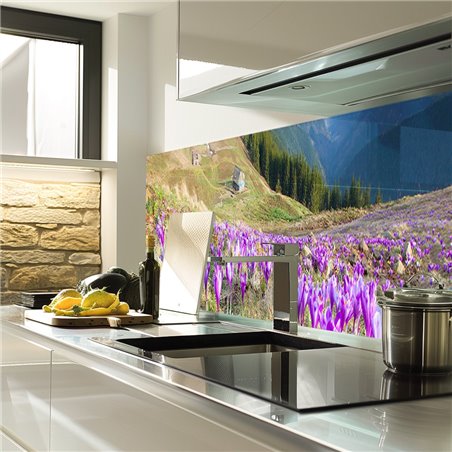 Glas Küchenrückwand 6 mm ESG Motive KRWM-0951