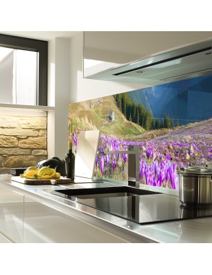 Glas Küchenrückwand 6 mm ESG Motive KRWM-0951