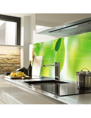 Glas Küchenrückwand 6 mm ESG Motive KRWM-0955