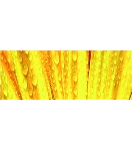 Glas Küchenrückwand 6 mm ESG Motive KRWM-0963