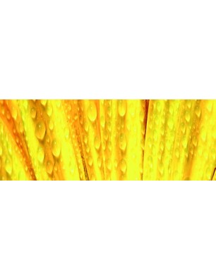 Glas Küchenrückwand 6 mm ESG Motive KRWM-0963