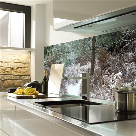 Glas Küchenrückwand 6 mm ESG Motive KRWM-0965