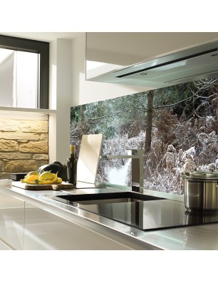 Glas Küchenrückwand 6 mm ESG Motive KRWM-0965