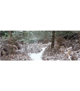 Glas Küchenrückwand 6 mm ESG Motive KRWM-0965