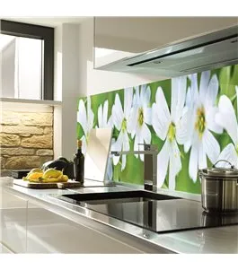 Glas Küchenrückwand 6 mm ESG Motive KRWM-0966