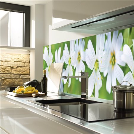 Glas Küchenrückwand 6 mm ESG Motive KRWM-0966