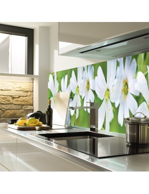 Glas Küchenrückwand 6 mm ESG Motive KRWM-0966