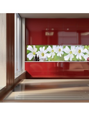 Glas Küchenrückwand 6 mm ESG Motive KRWM-0966