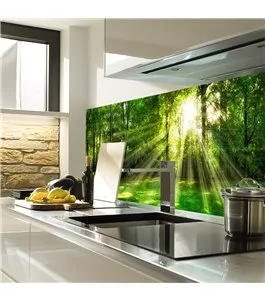 Glas Küchenrückwand 6 mm ESG Motive KRWM-0974