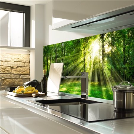 Glas Küchenrückwand 6 mm ESG Motive KRWM-0974