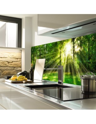 Glas Küchenrückwand 6 mm ESG Motive KRWM-0974