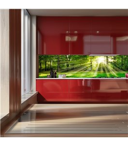 Glas Küchenrückwand 6 mm ESG Motive KRWM-0974