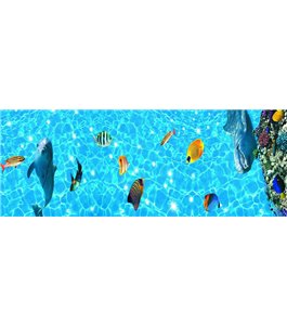 Glas Küchenrückwand 6 mm ESG Motive KRWM-0977