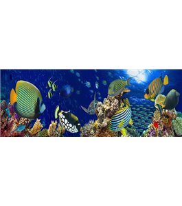 Glas Küchenrückwand 6 mm ESG Motive KRWM-0981