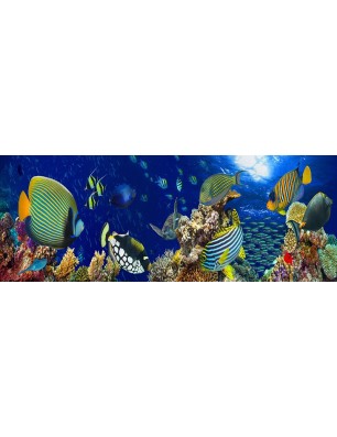 Glas Küchenrückwand 6 mm ESG Motive KRWM-0981