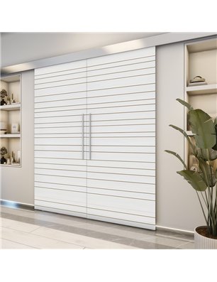 Holzschiebetür Eco-Line - Weiss 3D  Model 3007-2