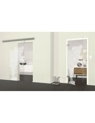 Ganzglastür Löwin Gelasert Auf Klarglas