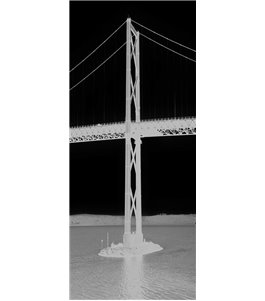 Ganzglastür Golden Gate Gelasert Auf Klarglas