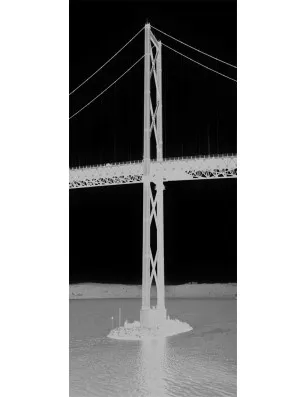 Ganzglastür Golden Gate Gelasert Auf Klarglas