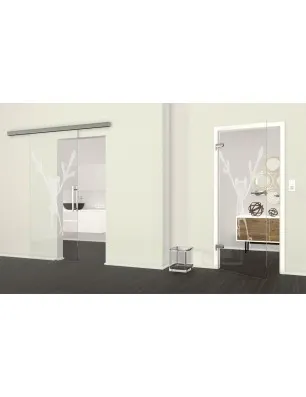 Ganzglastür Crazy Frog Gelasert Auf Klarglas