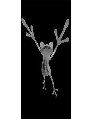 Ganzglastür Crazy Frog Gelasert Auf Klarglas