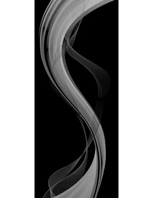 Ganzglastür Abstrakt 2 Gelasert Auf Klarglas