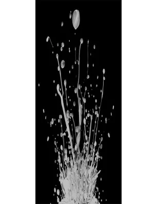 Ganzglastür Splash Gelasert Auf Klarglas