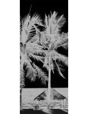 Ganzglastür Palmen II Gelasert Auf Klarglas