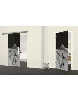 Ganzglastür Berg Gelasert Auf Grauglas