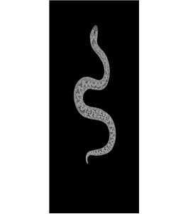 Ganzglastür Snake Gelasert Auf Grauglas