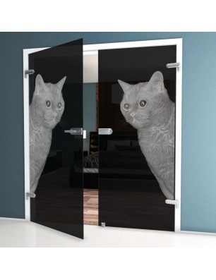 Ganzglastür Cats Gelasert Auf Grauglas