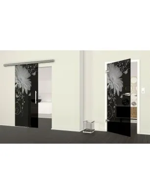 Ganzglastür Blume 3 Gelasert Auf Grauglas