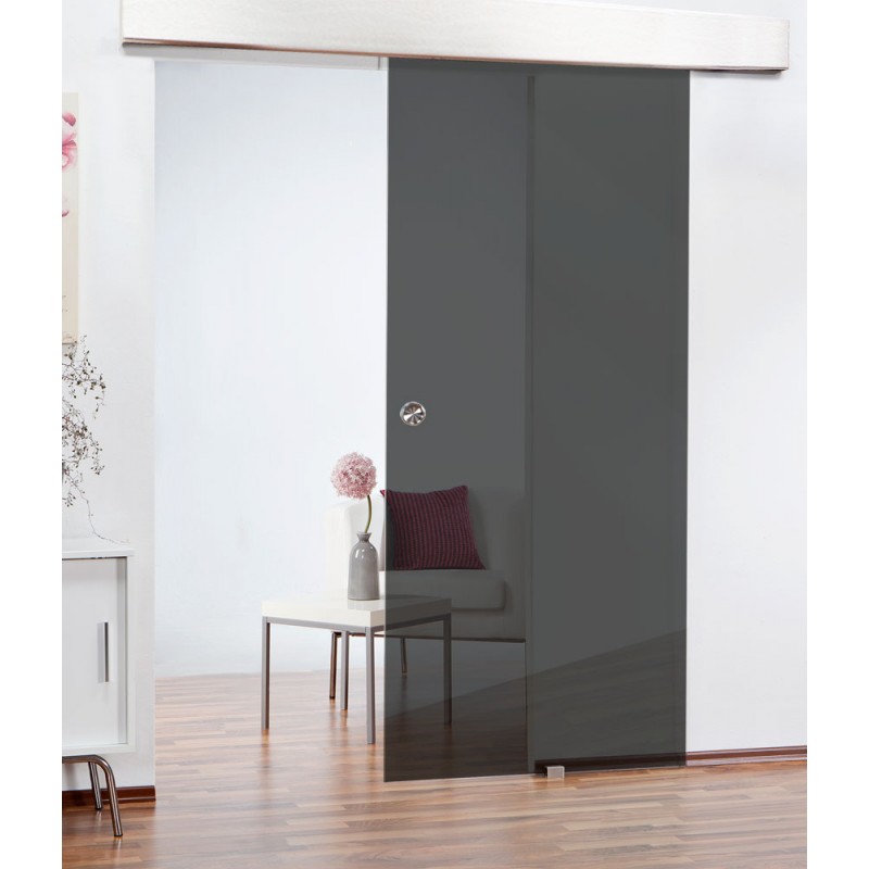 Schiebetüren - Schiebetür ECO-LINE Dark Grey Schiebetüren - Schiebetür ECO-LINE Dark Grey