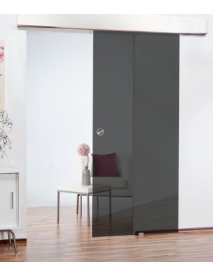 Schiebetüren - Schiebetür ECO-LINE Dark Grey