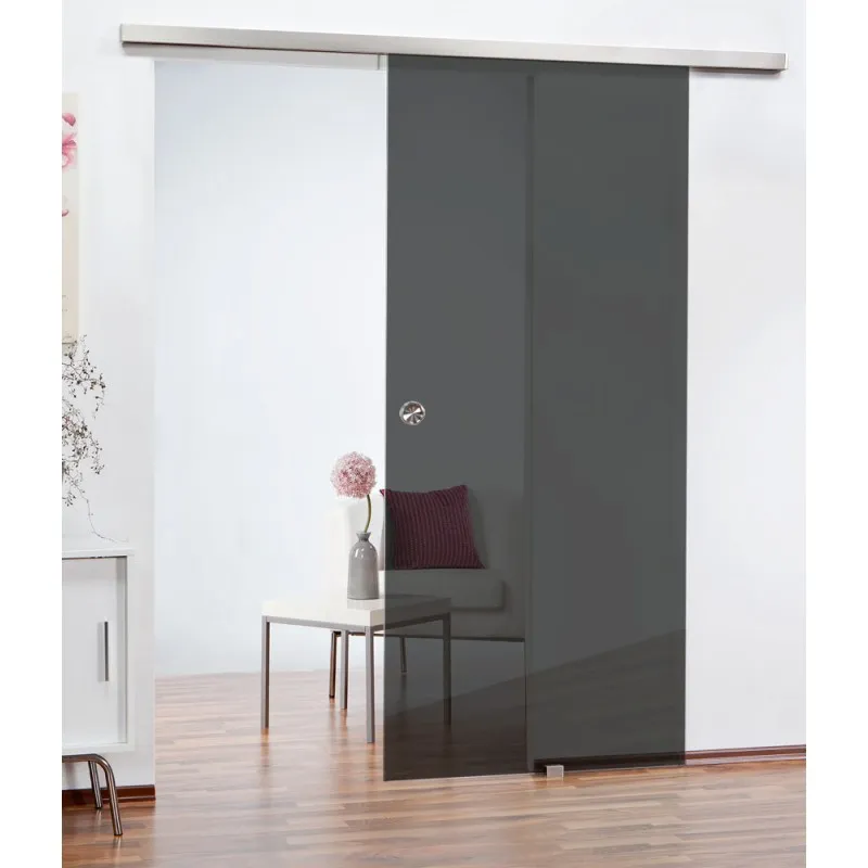 Schiebetür SLIM-LINE Dark Grey