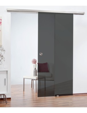 Schiebetüren - Schiebetür SLIM-LINE Dark Grey